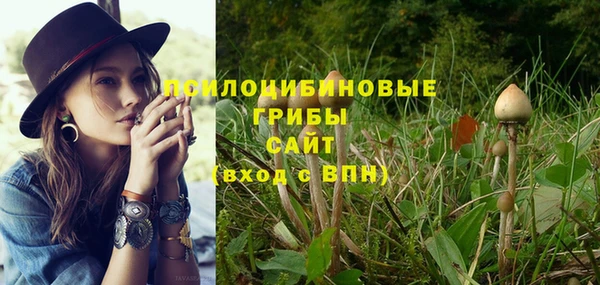 спиды Алексеевка